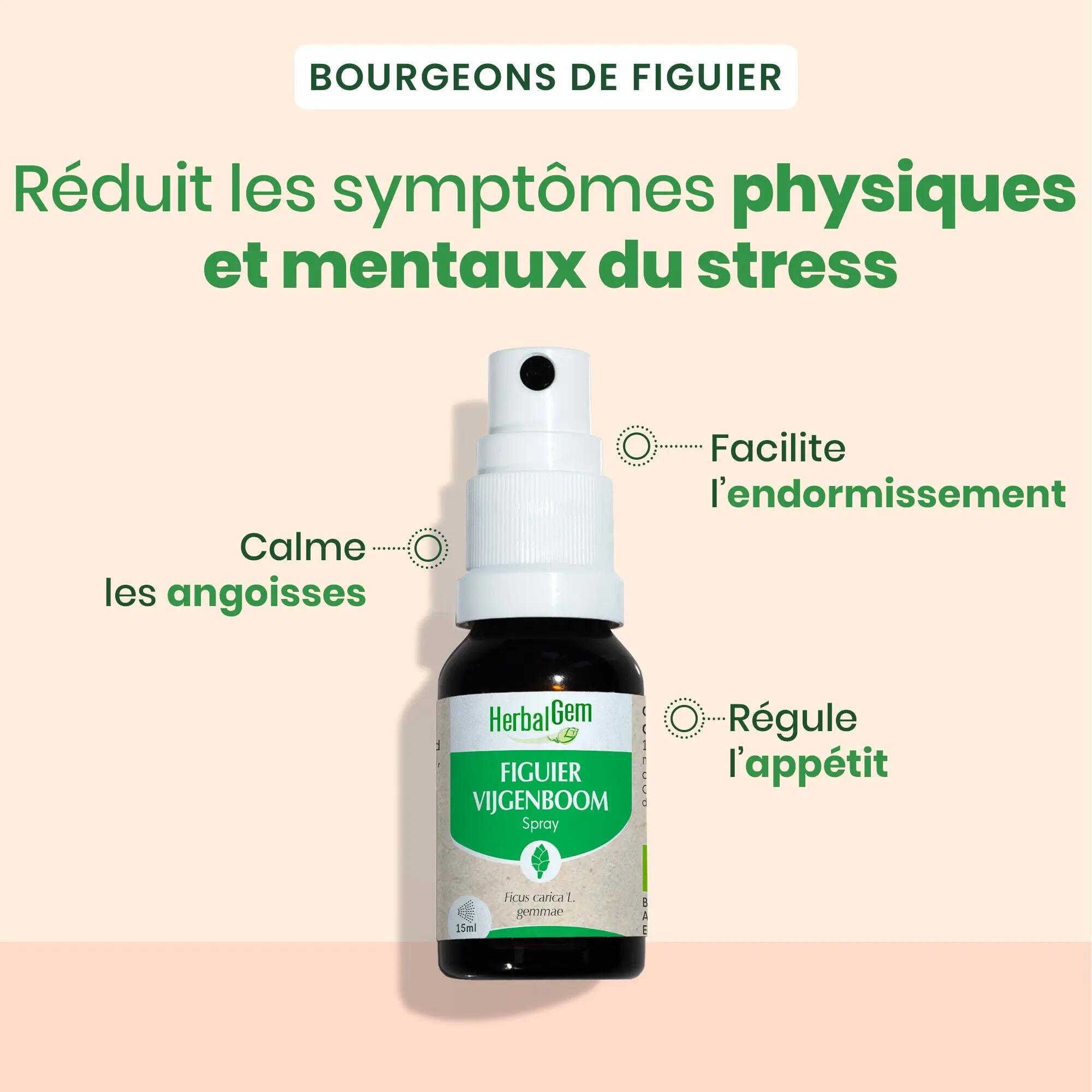 Bourgeon de Figuier - Bien‑être - Mixte - Spray 15 ml - Bio 5/5