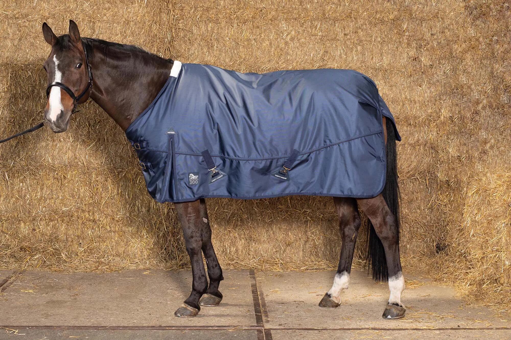 HARRYS HORSE picture