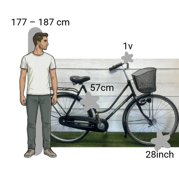 Bicicleta usada Gazelle Speciaal 2/4