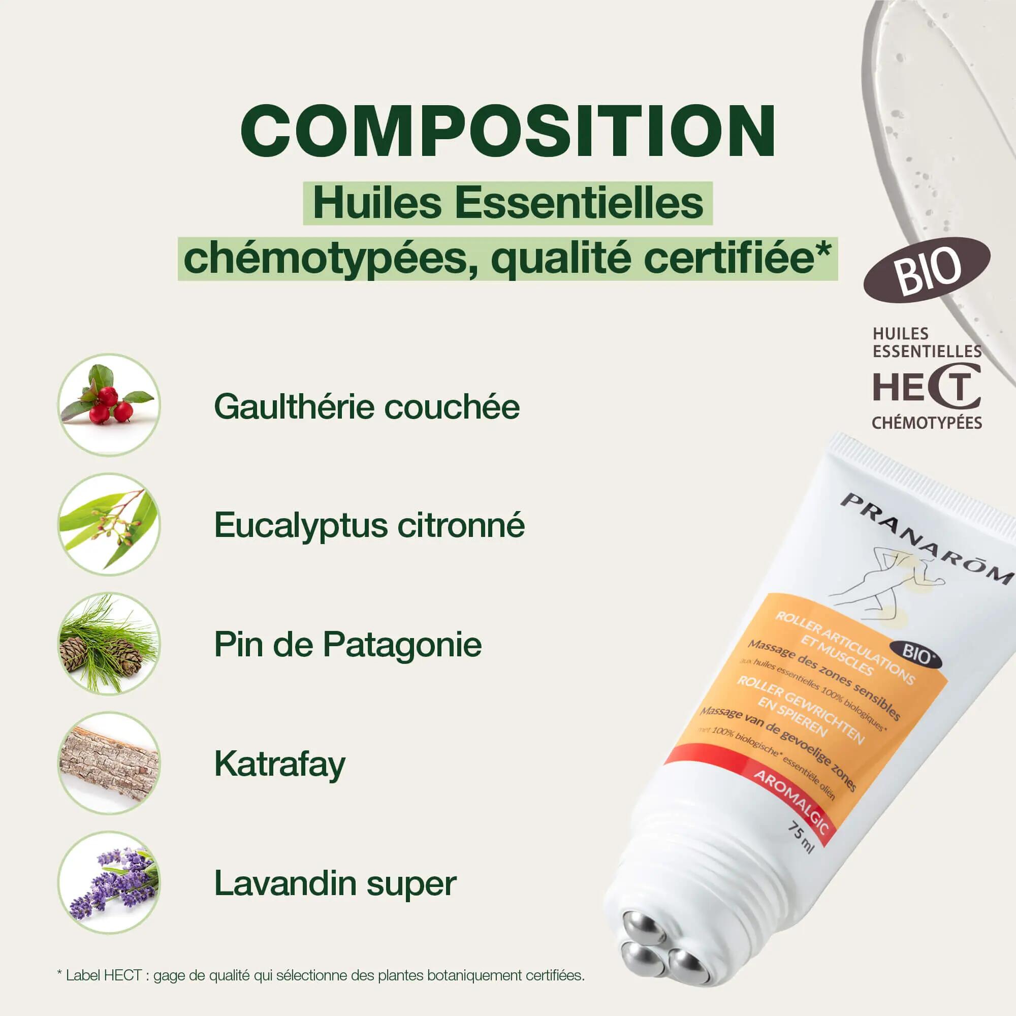 Roller articulations et muscles - 3 billes - Bio 4/5
