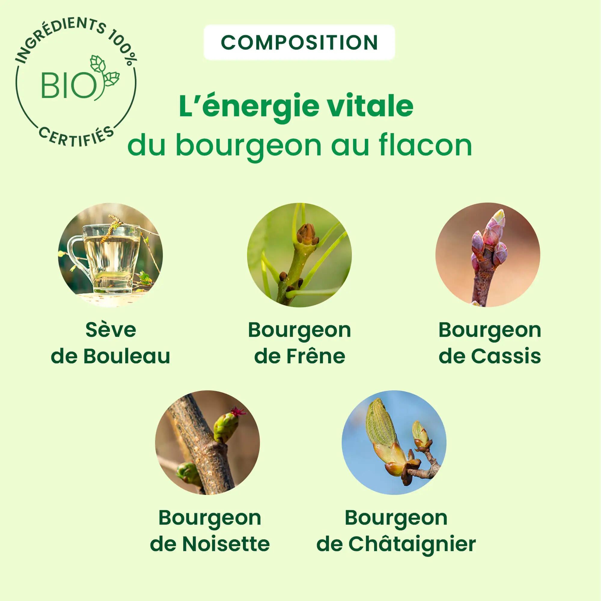 Cure détox - Unisexe - Sève de bouleau bio, 21 jours 3/4