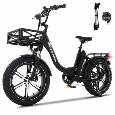 Bicicletta Elettrica-Sensore Coppia-Pneumatici 20x4.0-Batteria 864Wh-EK6 Ultra