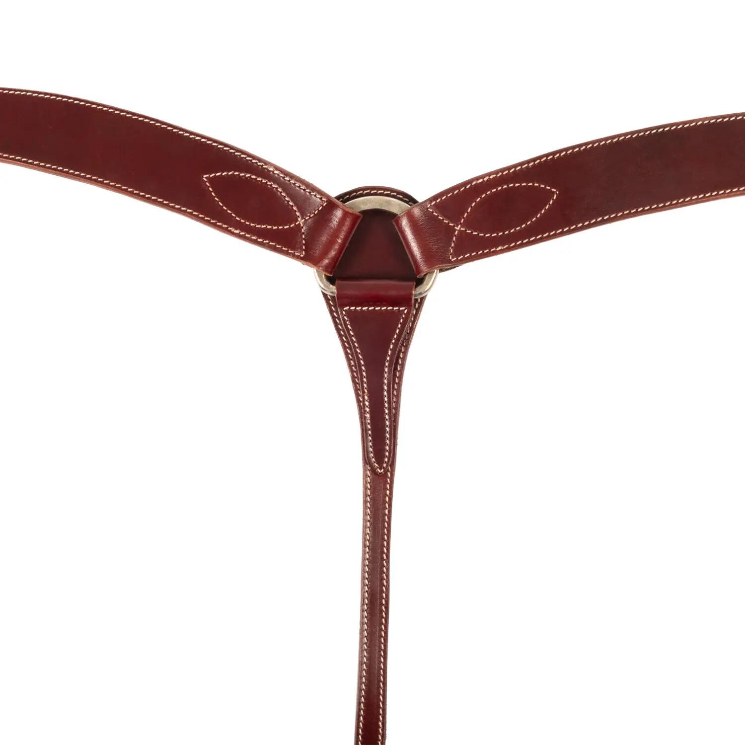 Plastron en cuir gras pool's 3/5