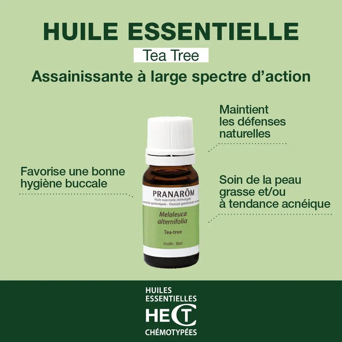 Huile essentielle Tea tree 10 ml - Purifiante, apaisante 5/5