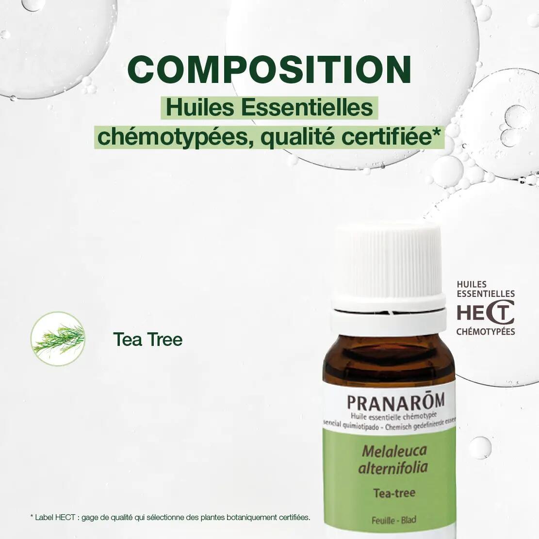 Huile essentielle Tea tree 10 ml - Purifiante, apaisante 3/5