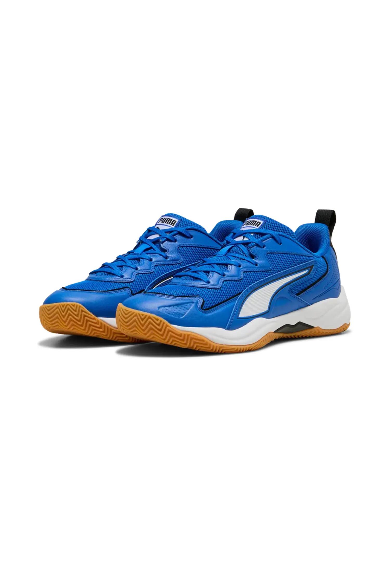 PUMA picture