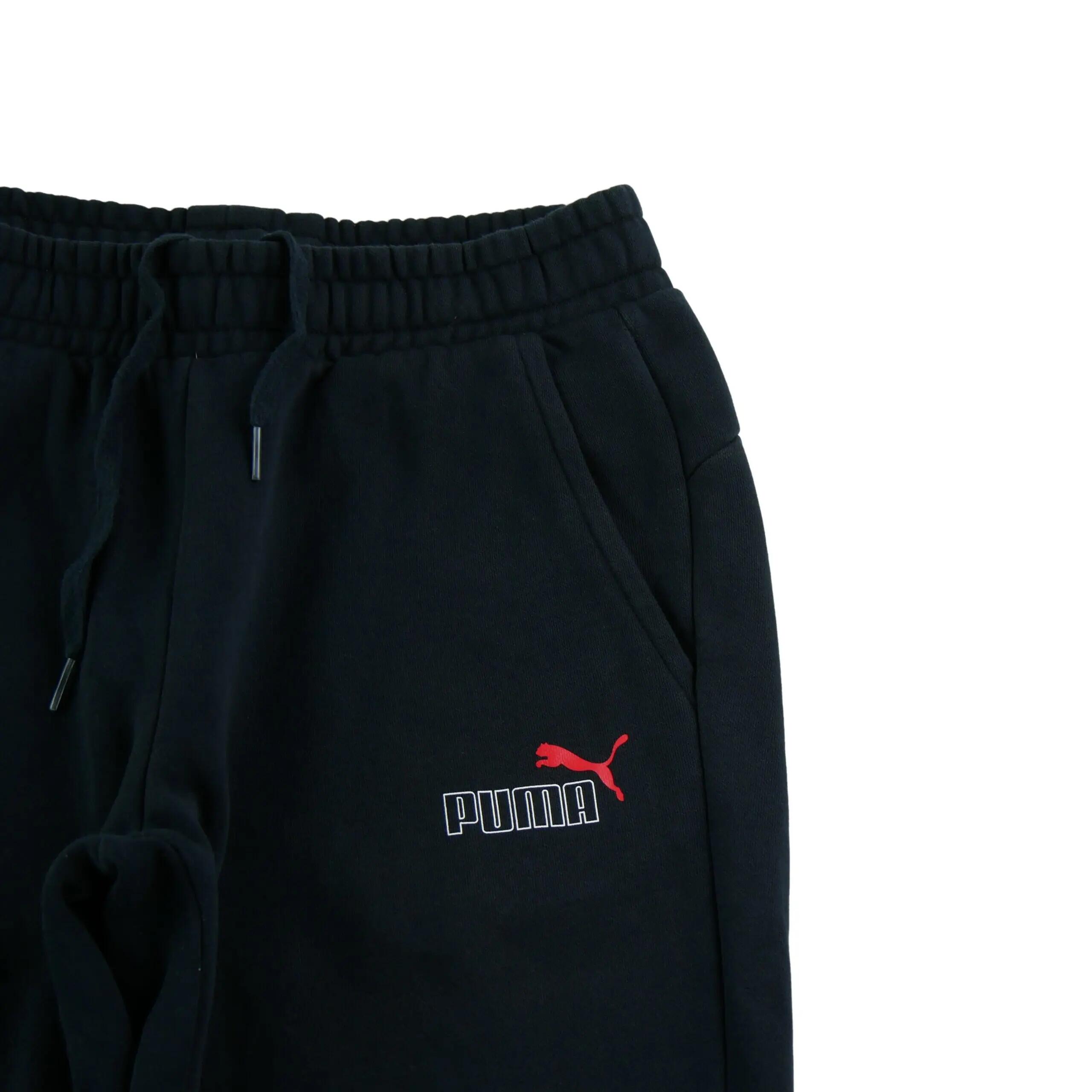 Spodnie dresowe męskie Puma Essentials 2 z logo 3/8
