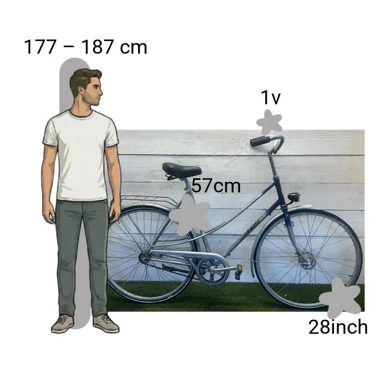 Bicicletta usata Gazelle Tour 2/4