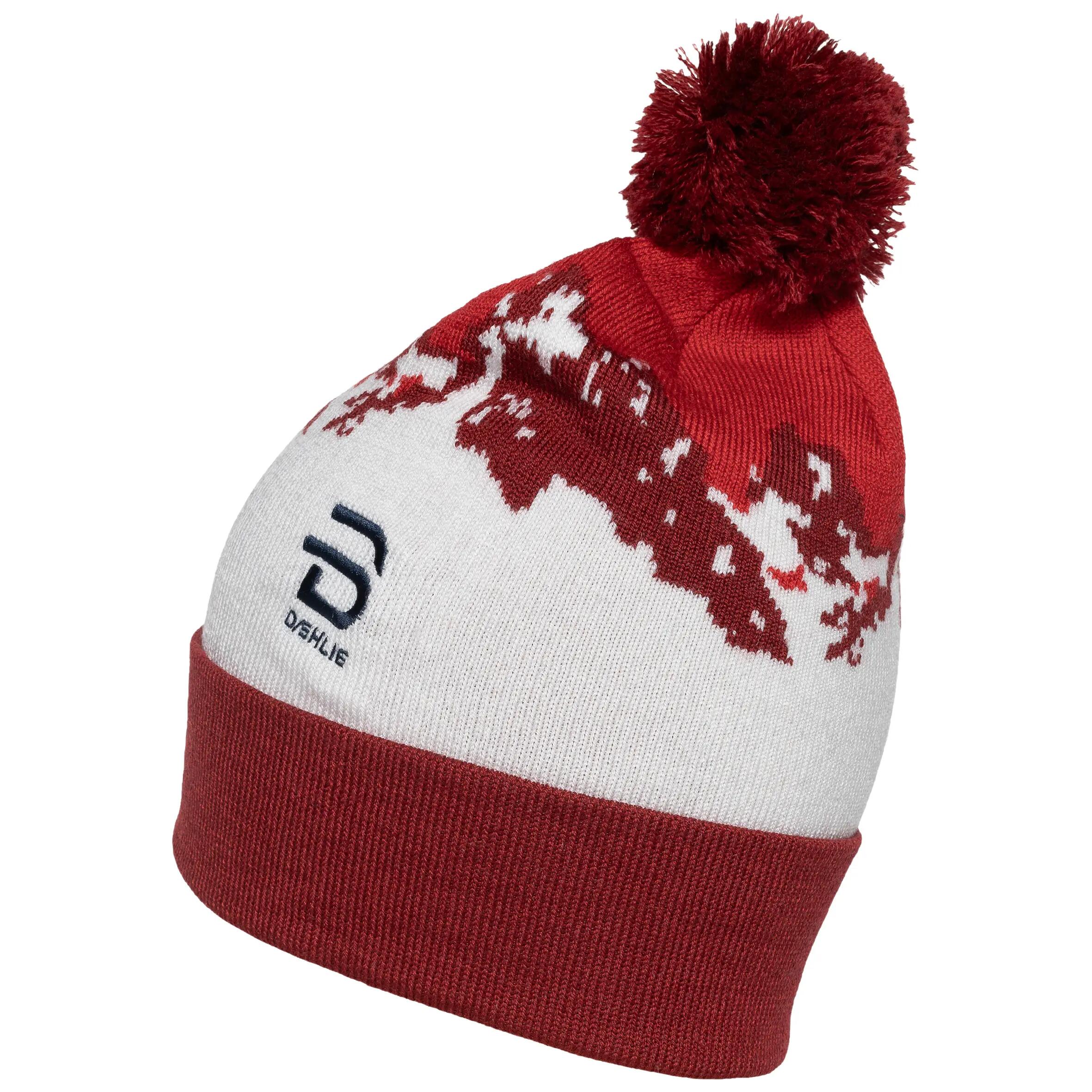 Bonnet Daehlie Sportswear Champion 2/2