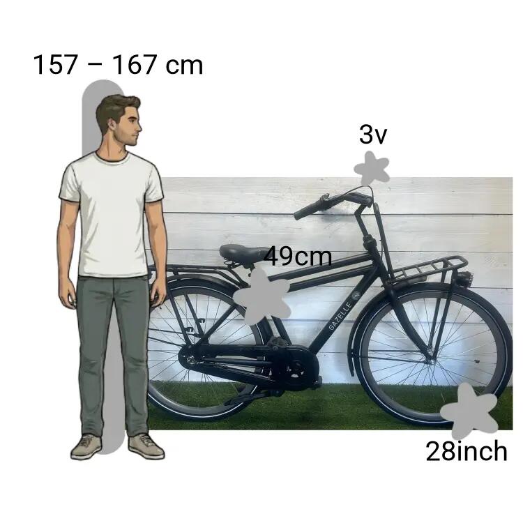 De segunda mano Gazelle Puur NL 2/4