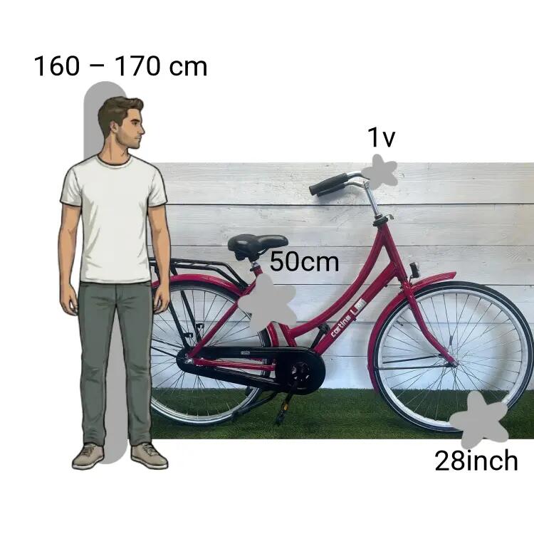 Bicicletta usata Cortina U4 2/4