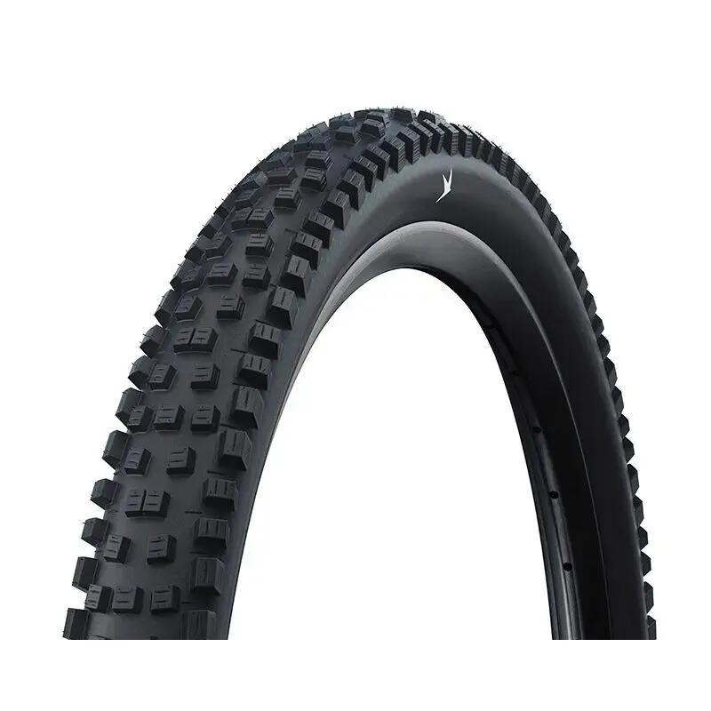 SCHWALBE picture