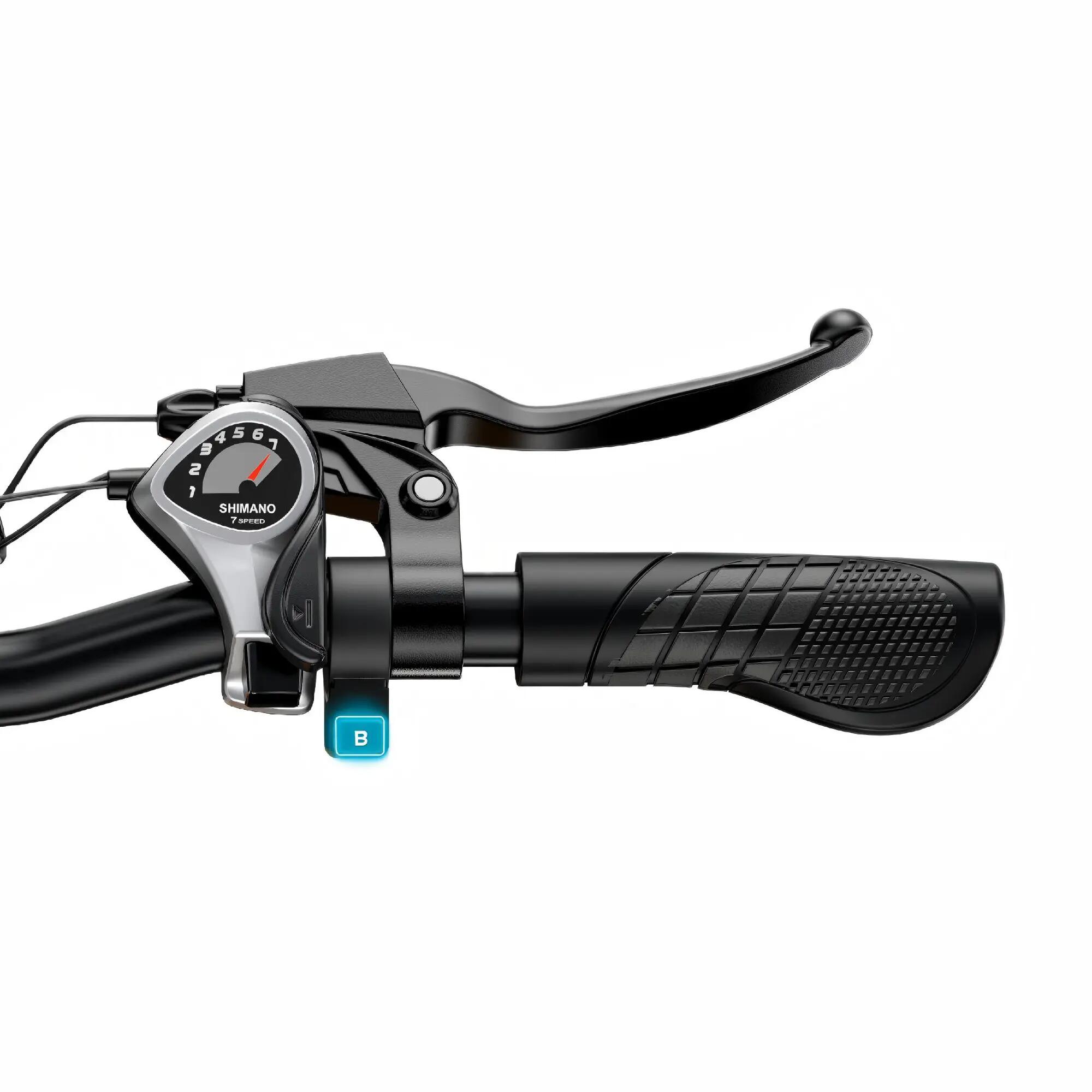 ENGWE EP-2 BOOST 250W Bicicletta elettrica pieghevole con pneumatici larghi 5/5