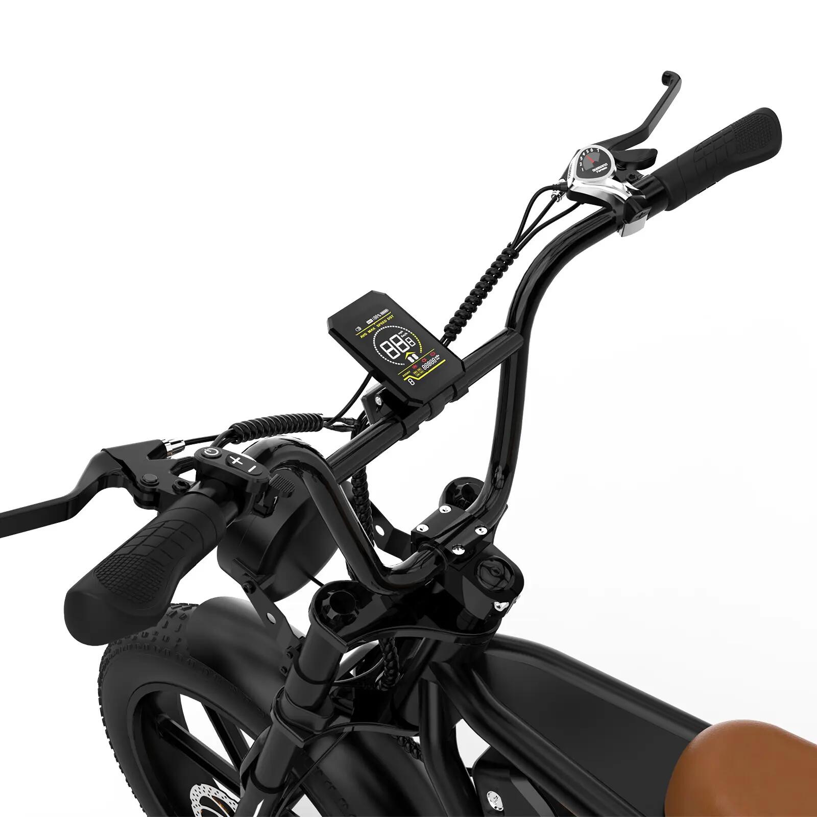 Bici elettrica Fat Bike 20x4.0 fuoristrada lunga autonomia BK17 4/5