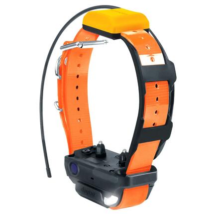 Collier pour chien Dogtra Pathfinder 2