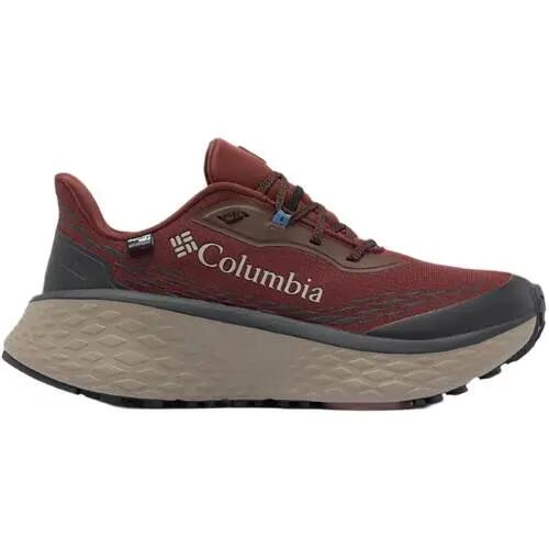 COLUMBIA picture