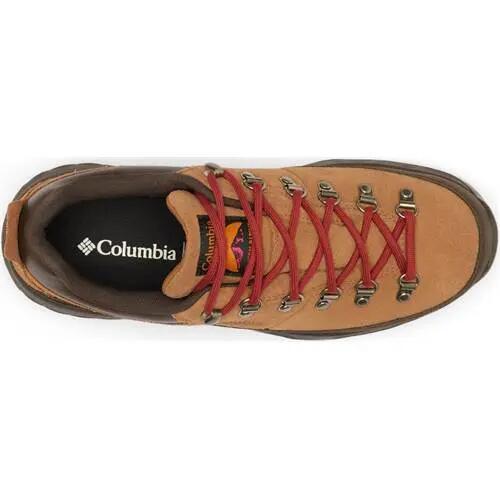 Buty trekkingowe męskie Columbia Newton Alpine 4/5