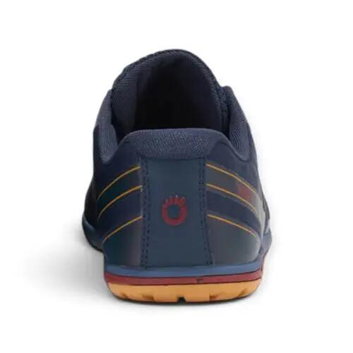 Scarpe da corsa Xero Shoes HFS II Blu 2/5