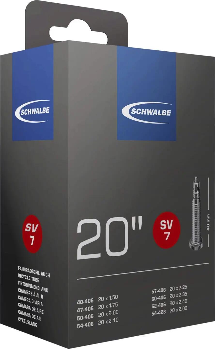 SCHWALBE picture