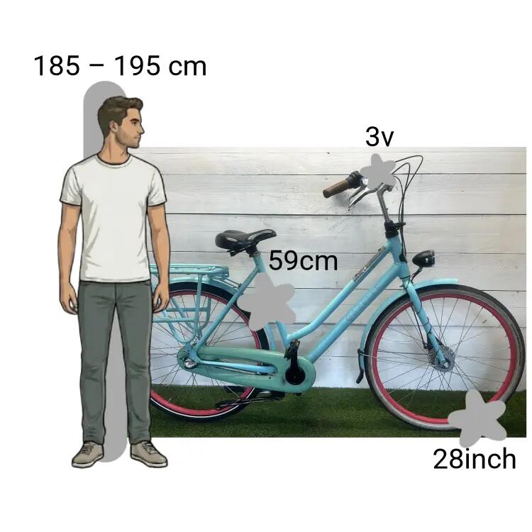 Bicicleta usada Gazelle NL 2/4