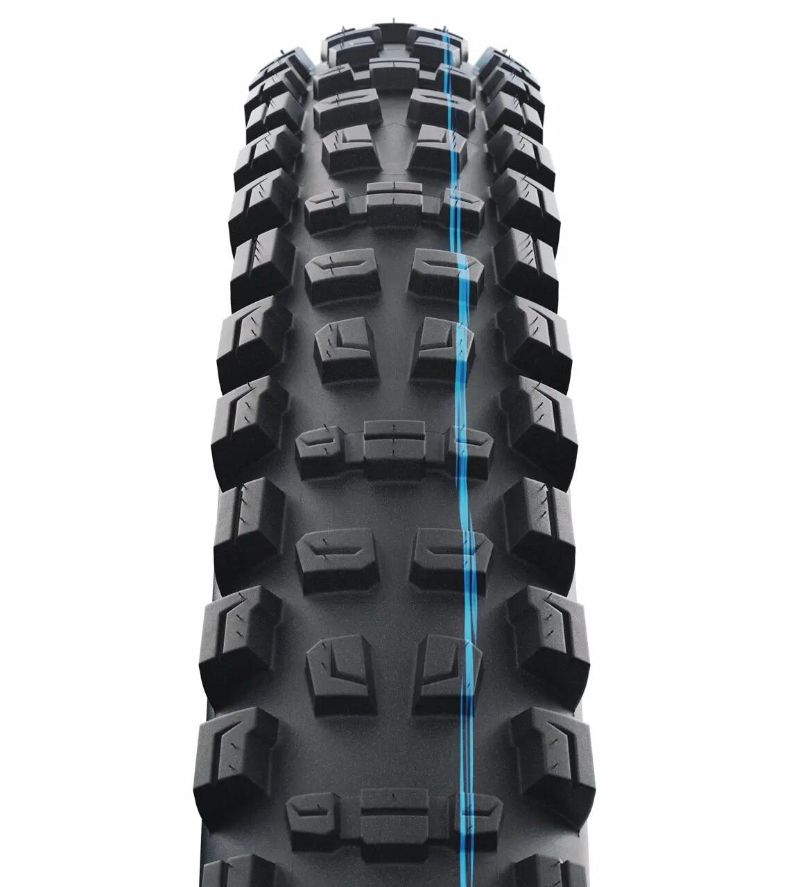 SCHWALBE picture