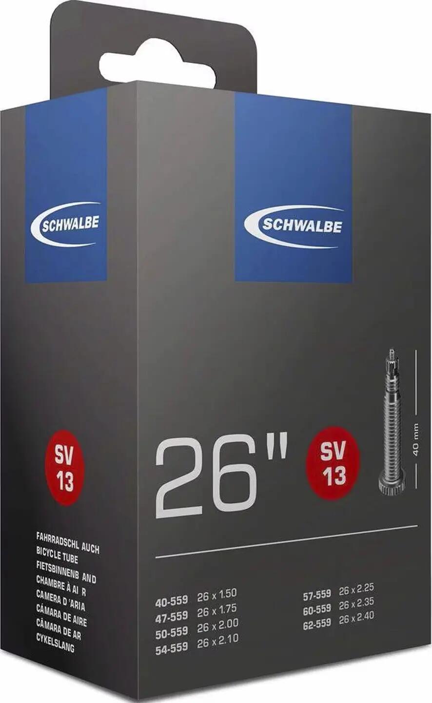 SCHWALBE picture