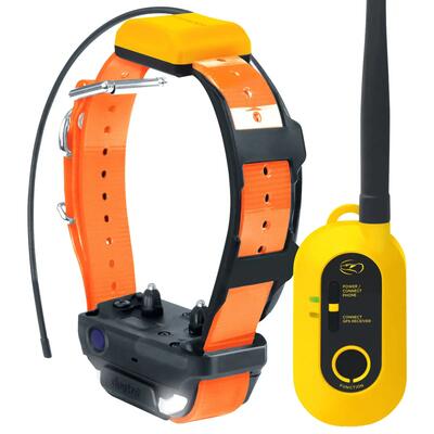 Collare per cane addestramento e localizzazione GPS Dogtra Pathfinder 2