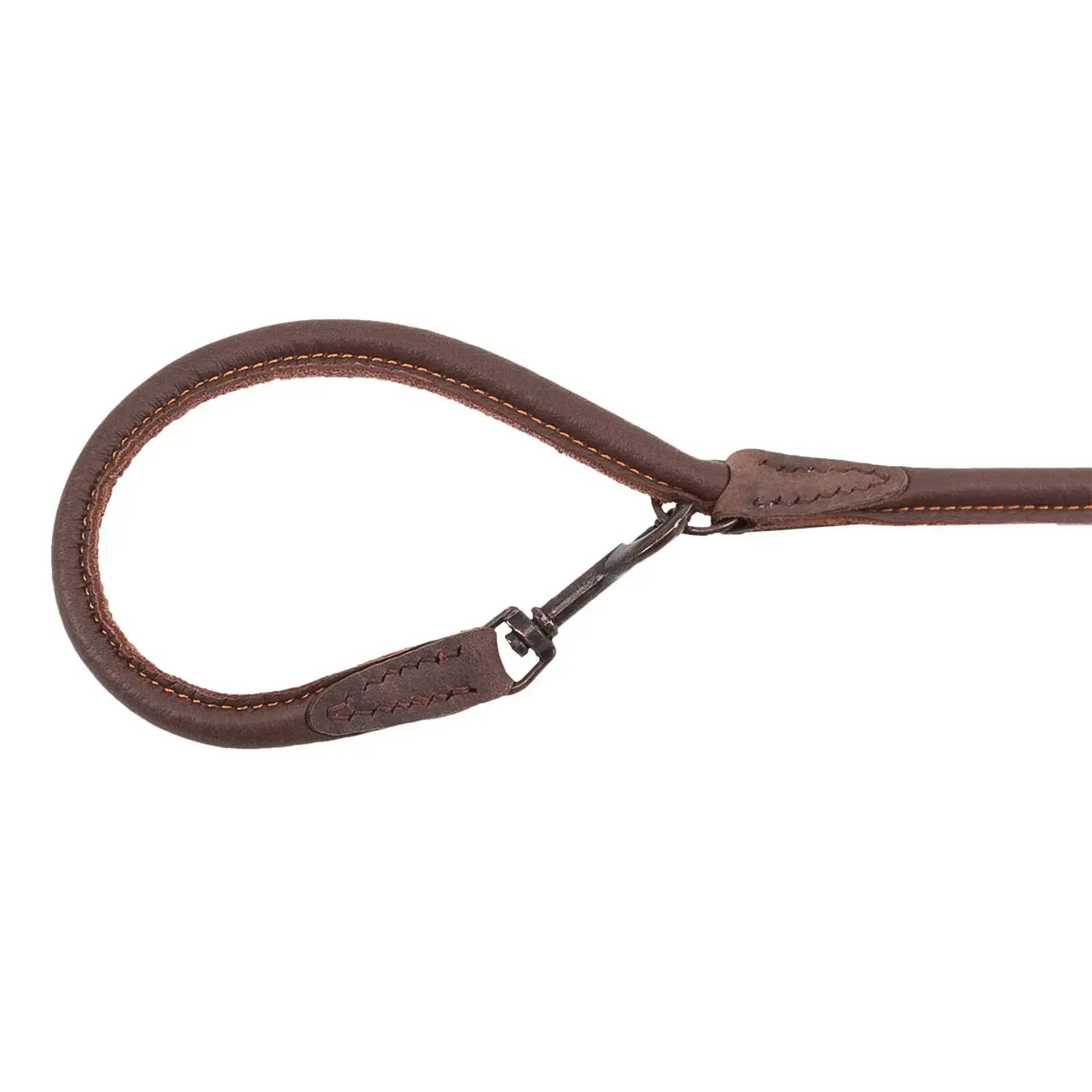 Laisse pour chien conduite en cuir d'elan Akah 2/2