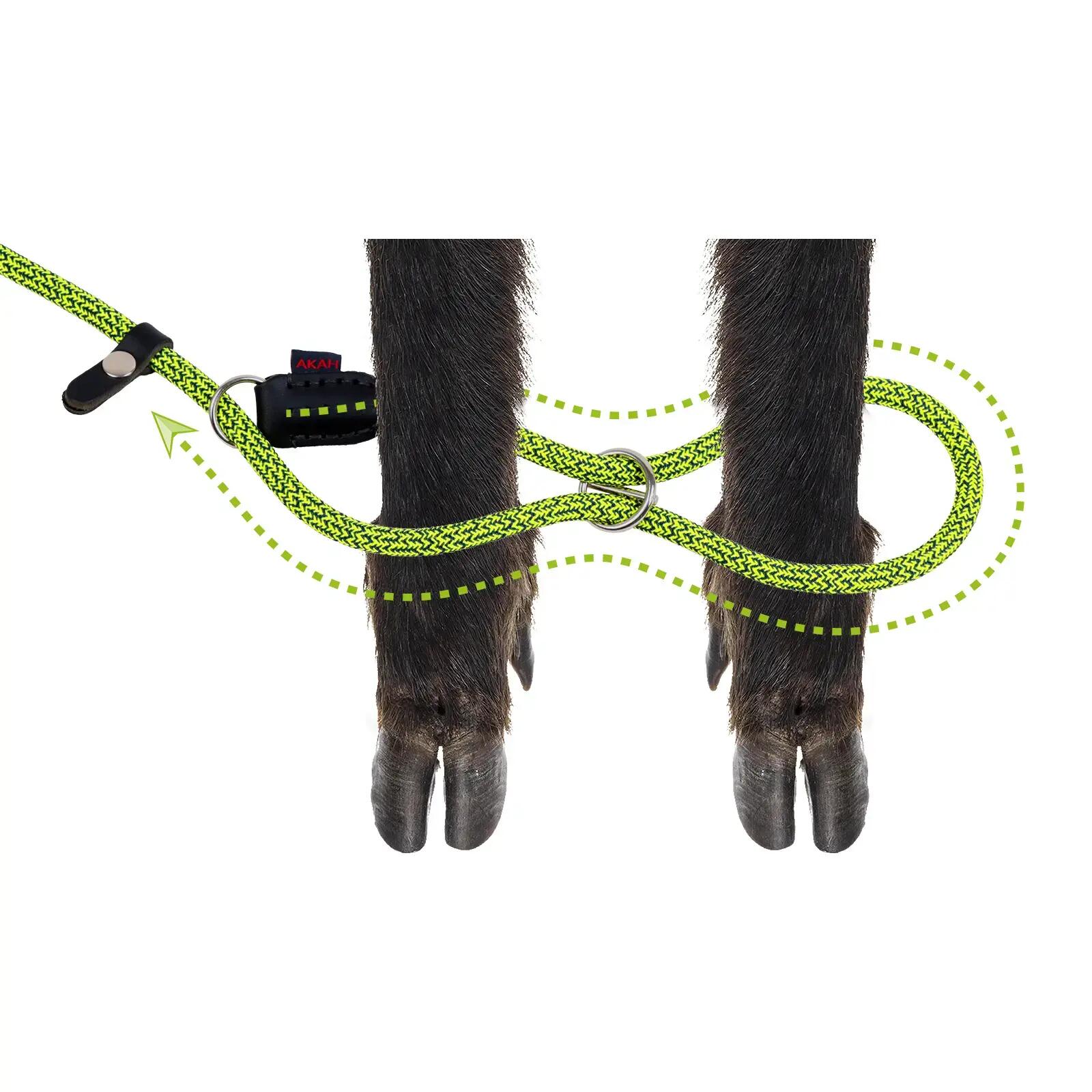Laisse pour chien Akah Moxon Sling 5/5