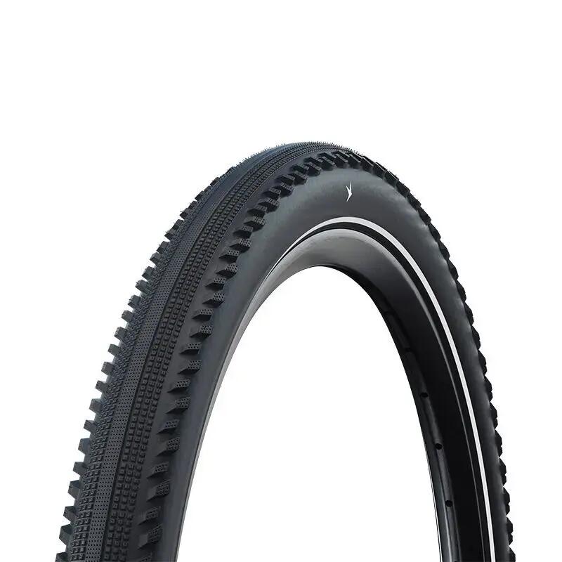 SCHWALBE picture