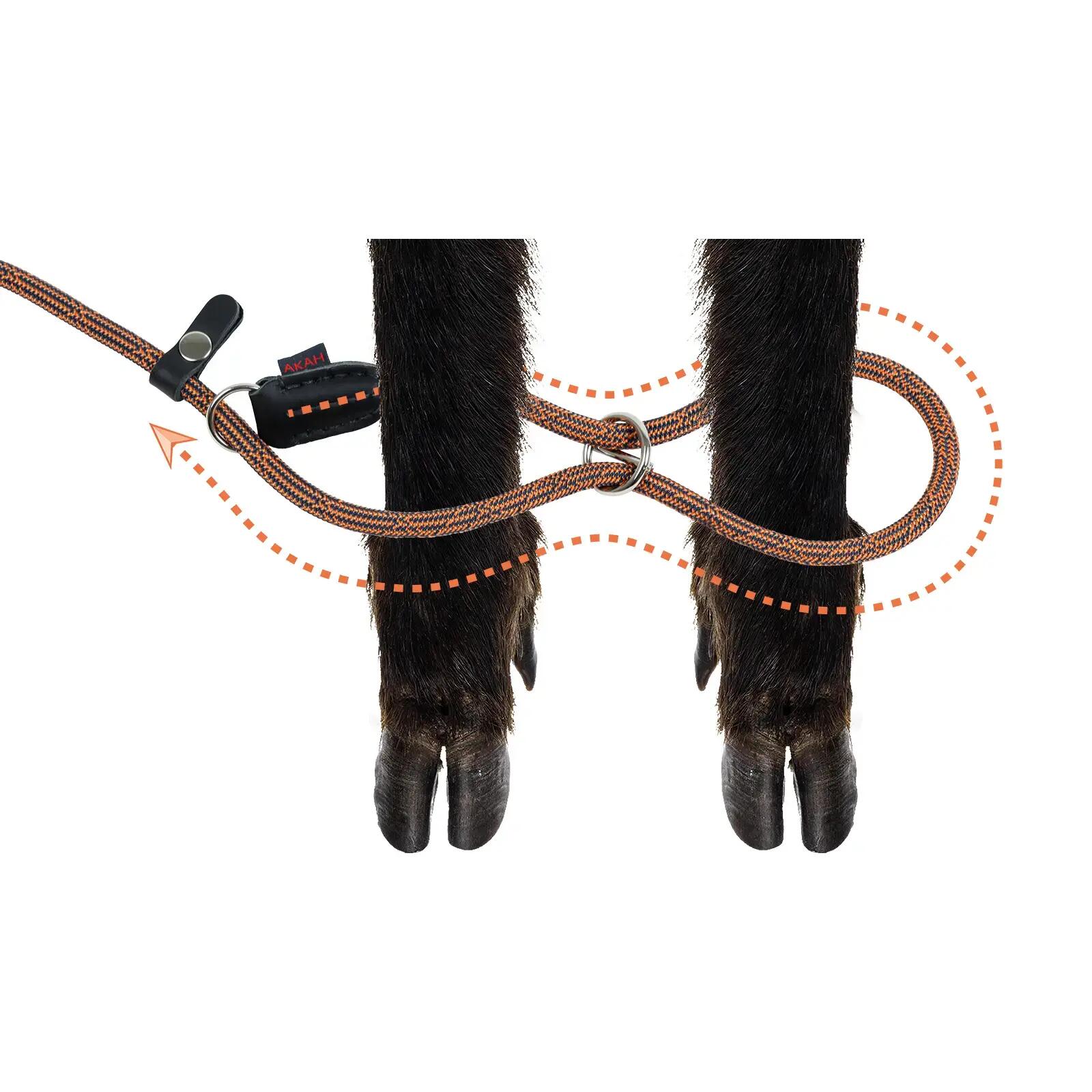 Laisse pour chien Akah Moxon Sling 5/5