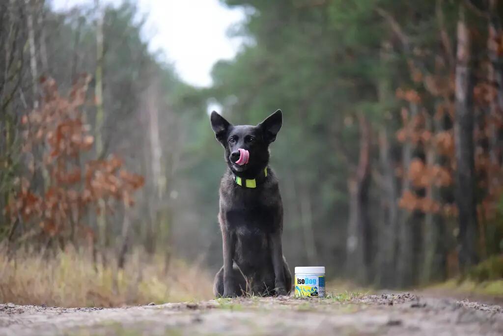 Izotonik dla psów w proszku Game Dog IsoDog 150 g 5/6
