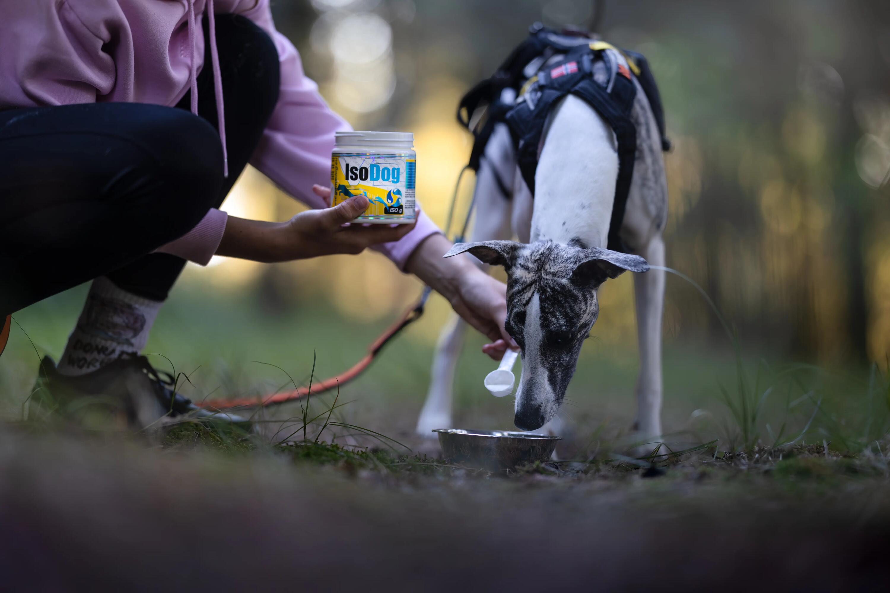 Izotonik dla psów w proszku Game Dog IsoDog 150 g 4/6