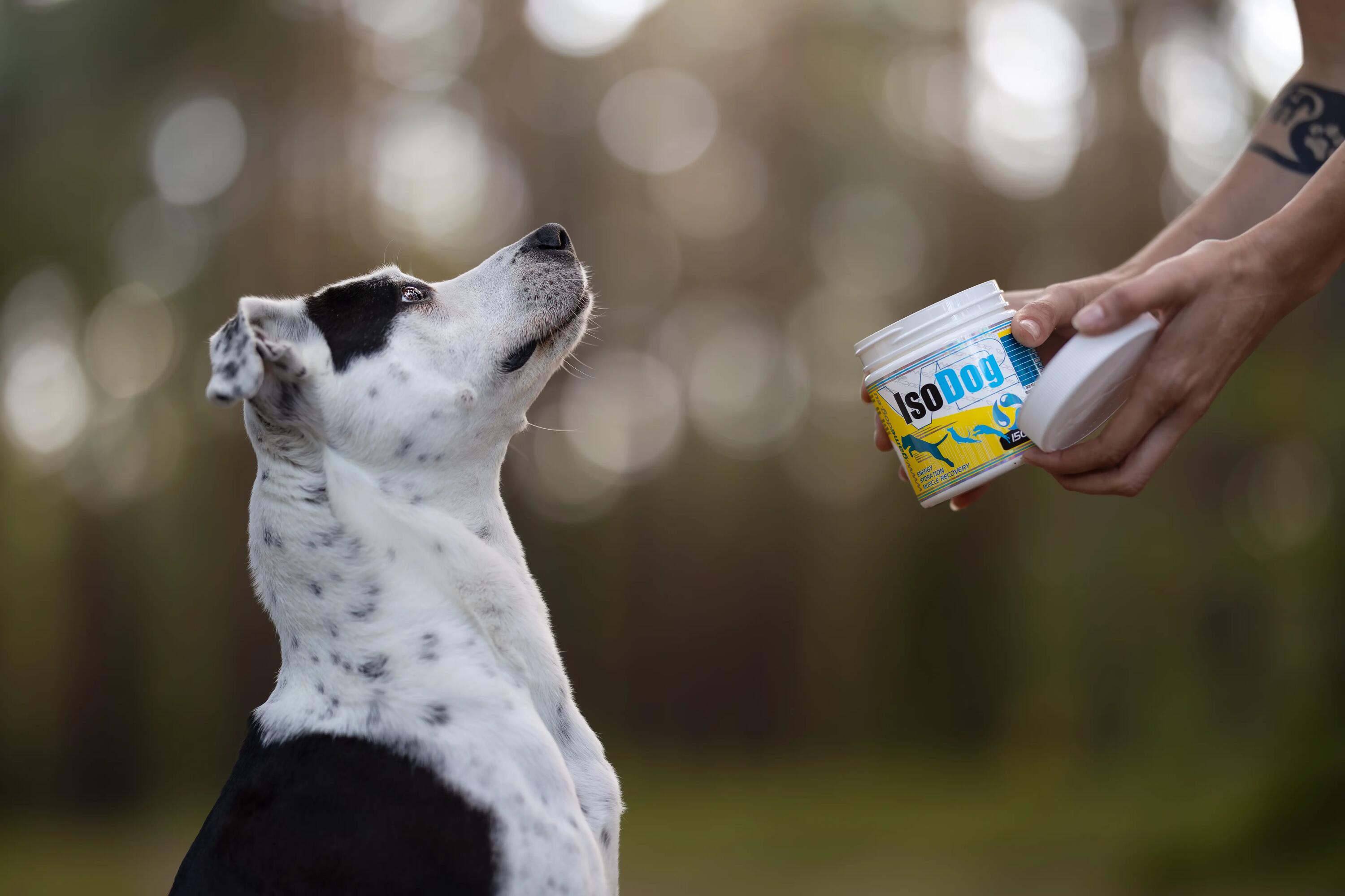 Izotonik dla psów w proszku Game Dog IsoDog 150 g 3/6