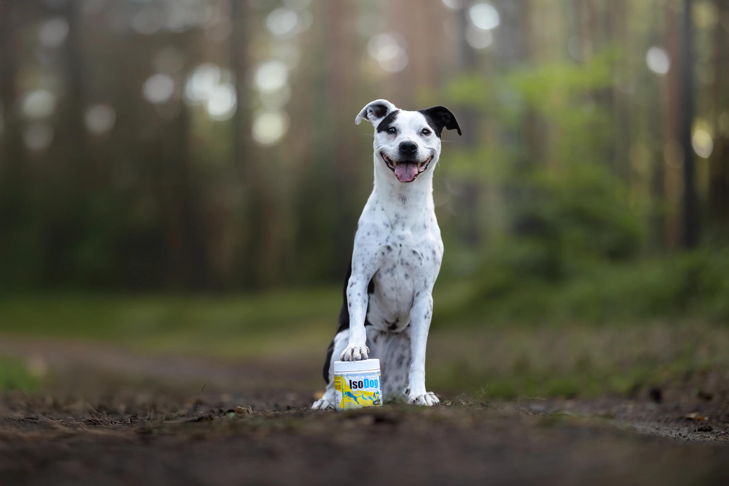 Izotonik dla psów w proszku Game Dog IsoDog 150 g 2/6