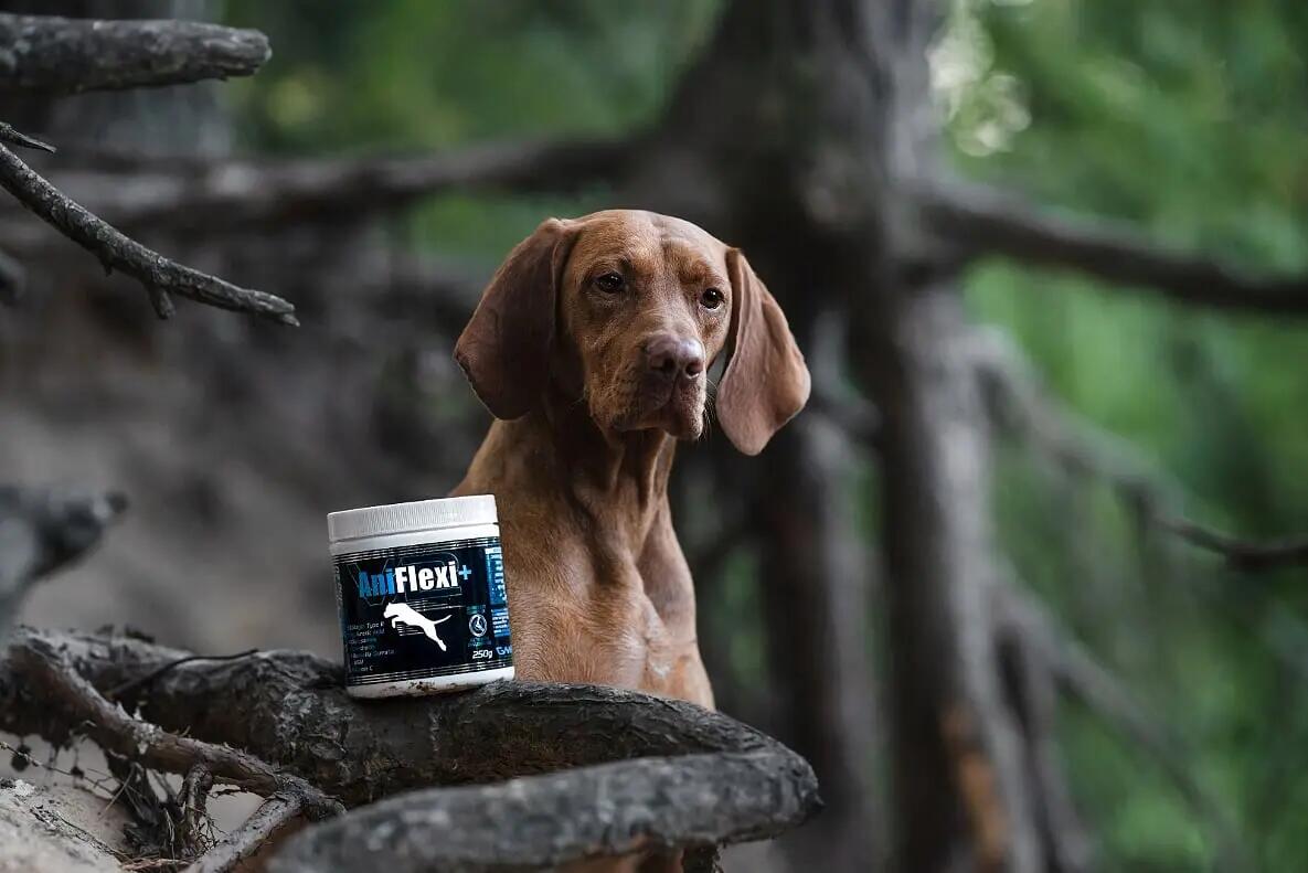 Zaawansowany suplement w proszku na stawy dla psów Game Dog AniFlexi+ 250 g 5/5