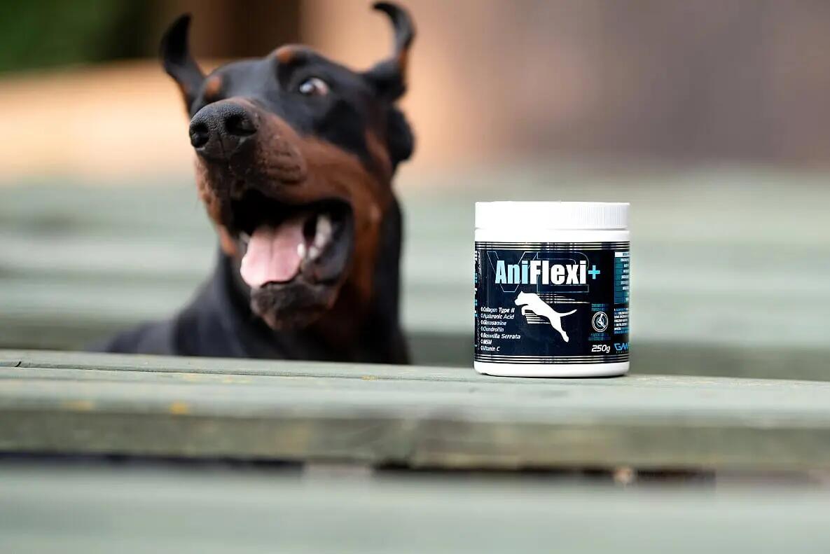 Zaawansowany suplement w proszku na stawy dla psów Game Dog AniFlexi+ 250 g 3/5