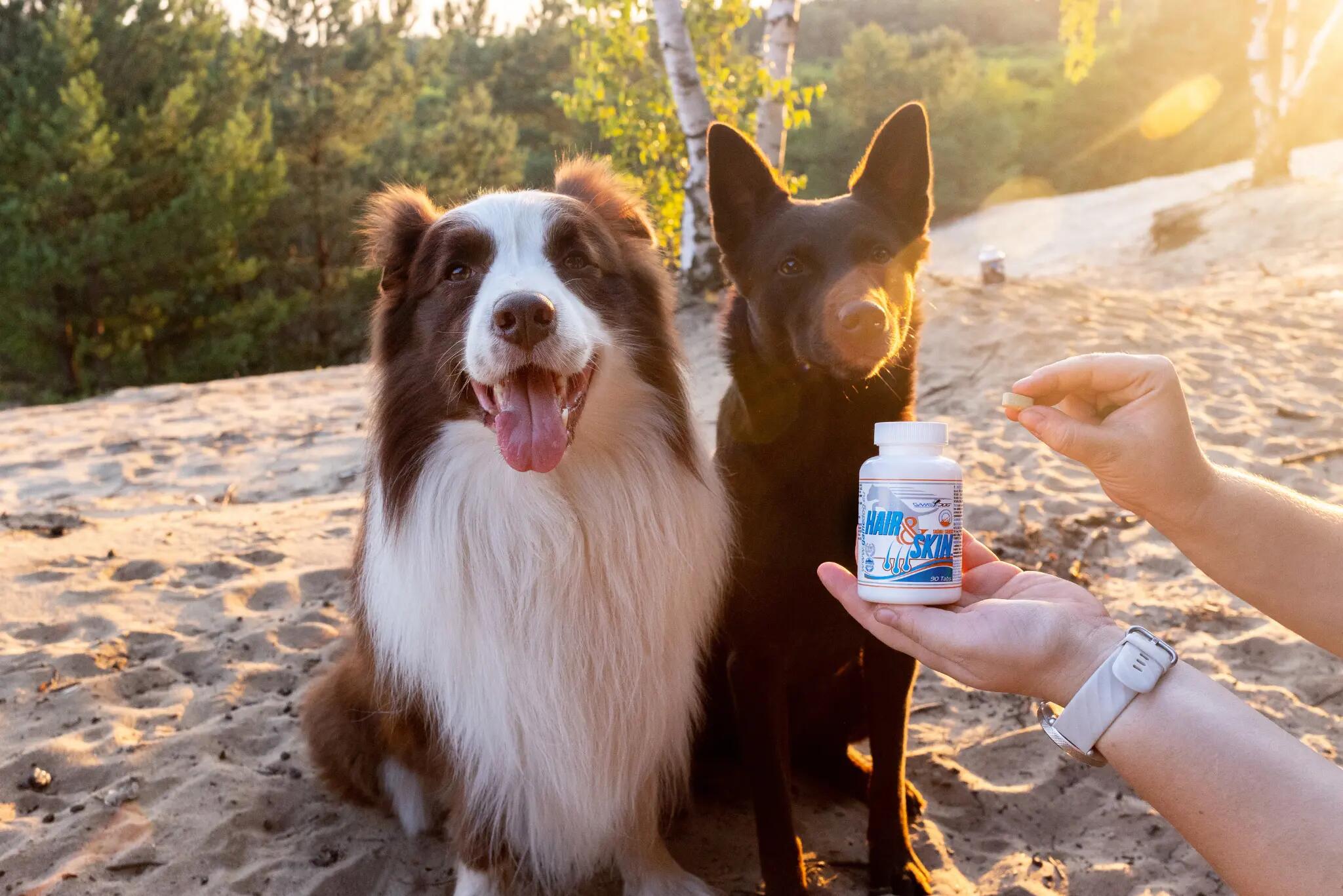 Suplement na zdrową skórę i lśniącą sierść dla psów  Game Dog Hair&Skin 90 tab. 4/4
