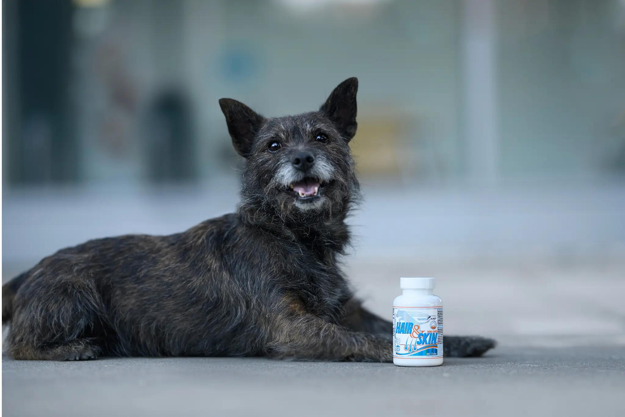Suplement na zdrową skórę i lśniącą sierść dla psów  Game Dog Hair&Skin 90 tab. 3/4