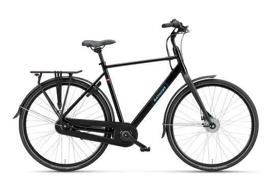BATAVUS picture