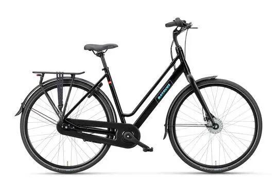 BATAVUS picture