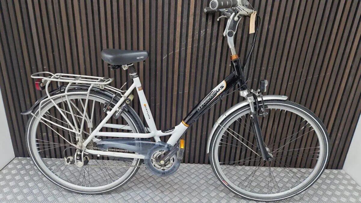 BATAVUS picture