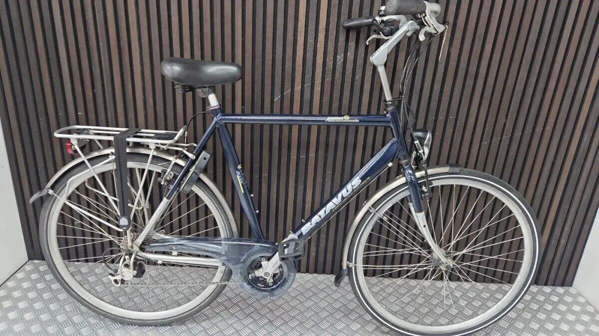 BATAVUS picture