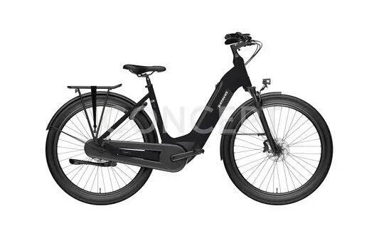 BATAVUS picture
