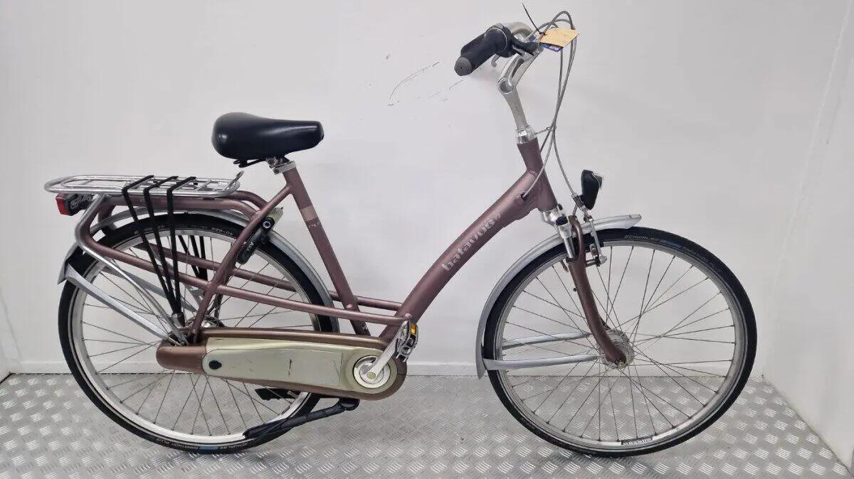 BATAVUS picture
