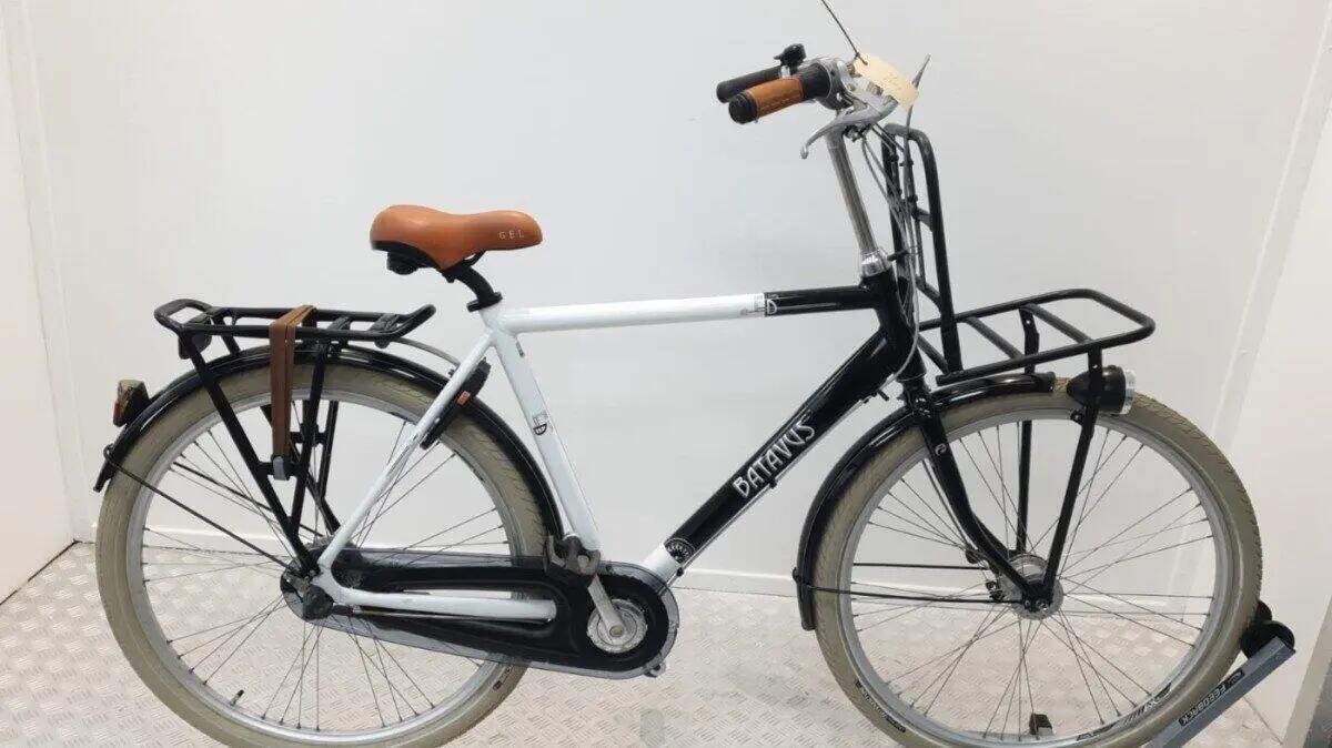 BATAVUS picture