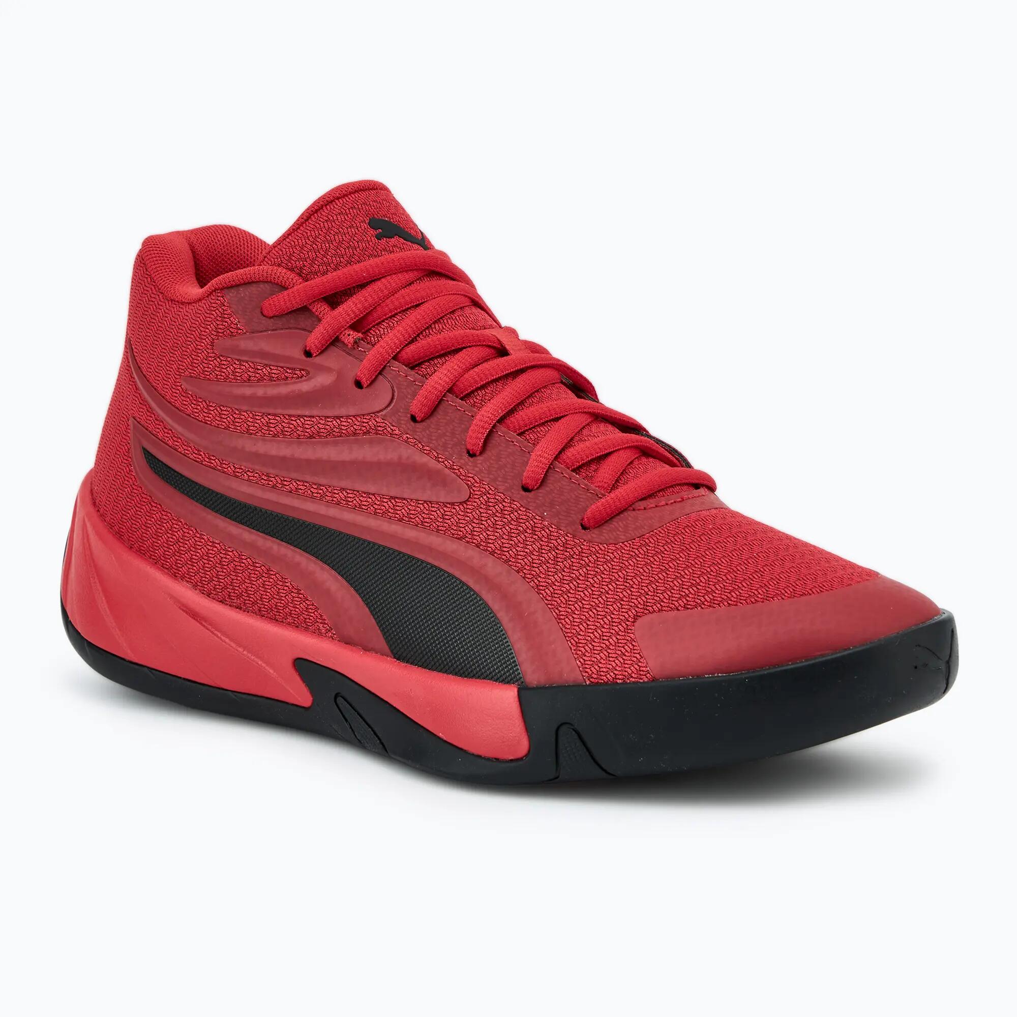 PUMA picture