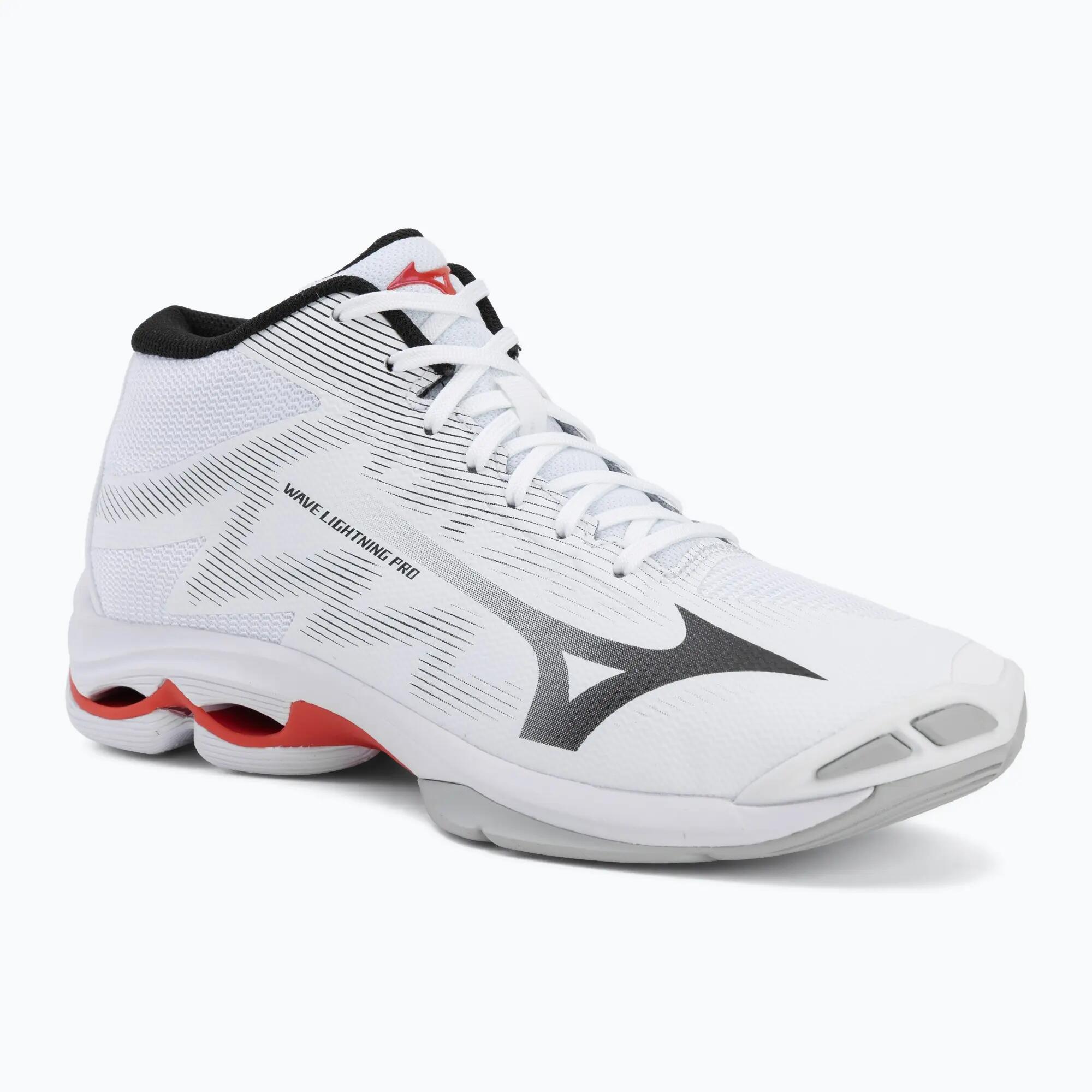 MIZUNO picture