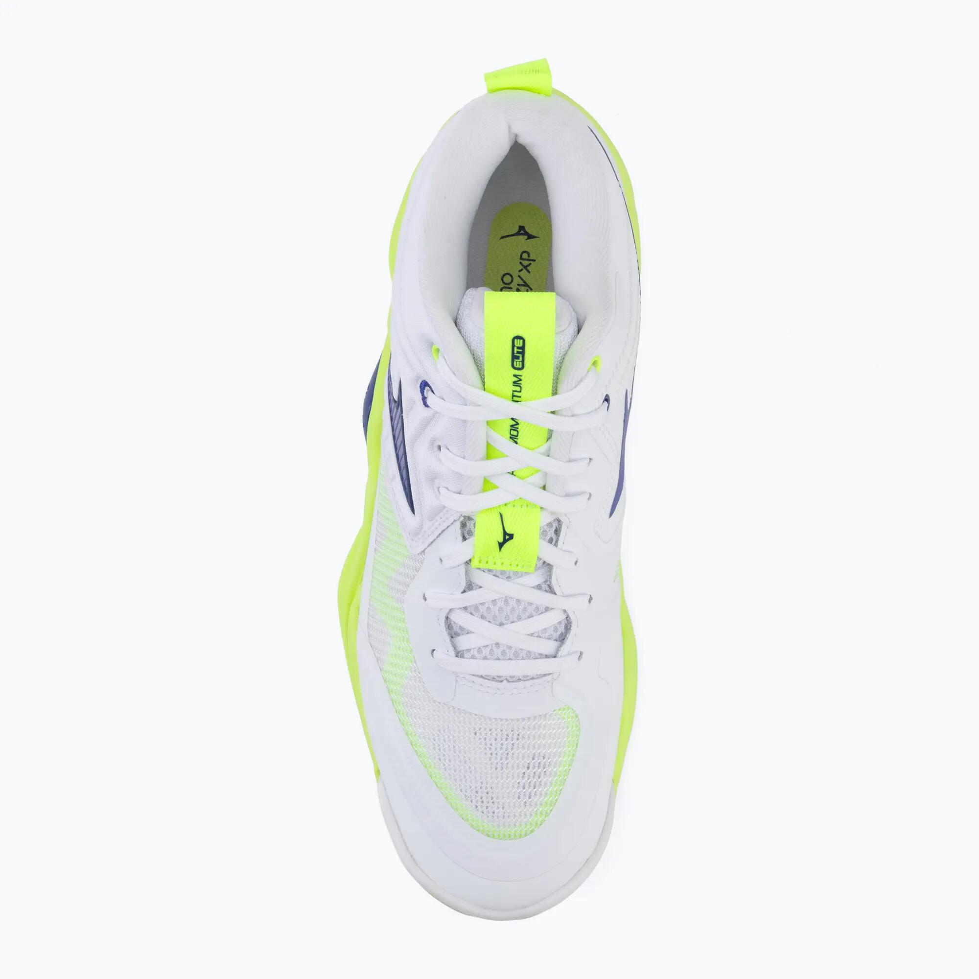 Scarpe da pallavolo Mizuno Wave Momentum Elite Mid 5/7