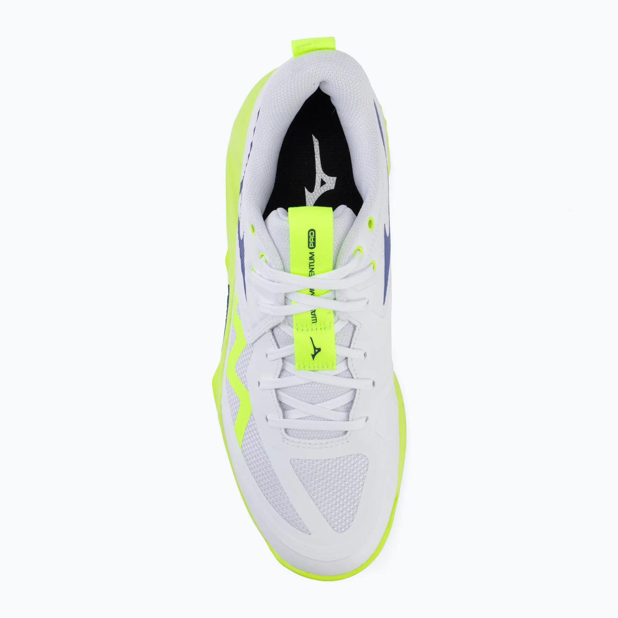 Buty do siatkówki Mizuno Wave Momentum Pro 5/7
